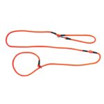 Baudrier - Lasso pour chien