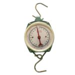 Peson dynamométrique 200 kg